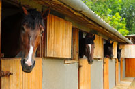 free Paddock stable construction quotes